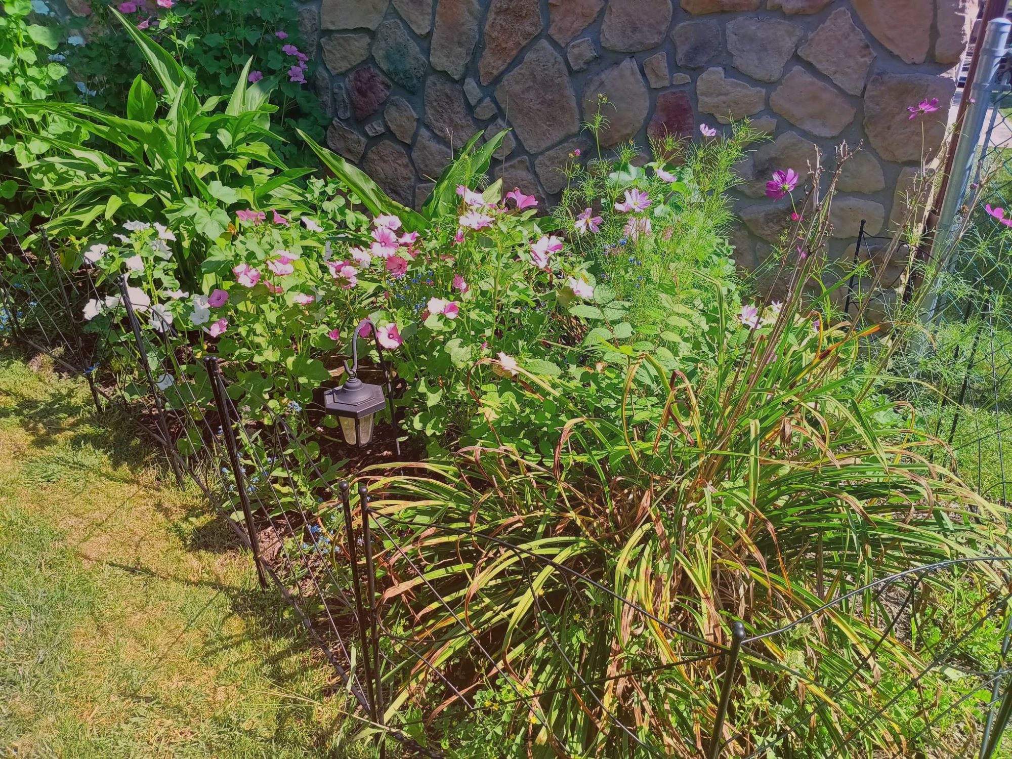 Start everyday with an attitude of gratitude: story+ inspiring quotes ✨