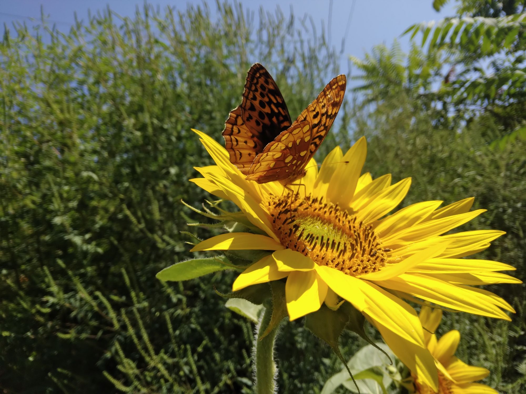 Positivity & potential for a great day ☀