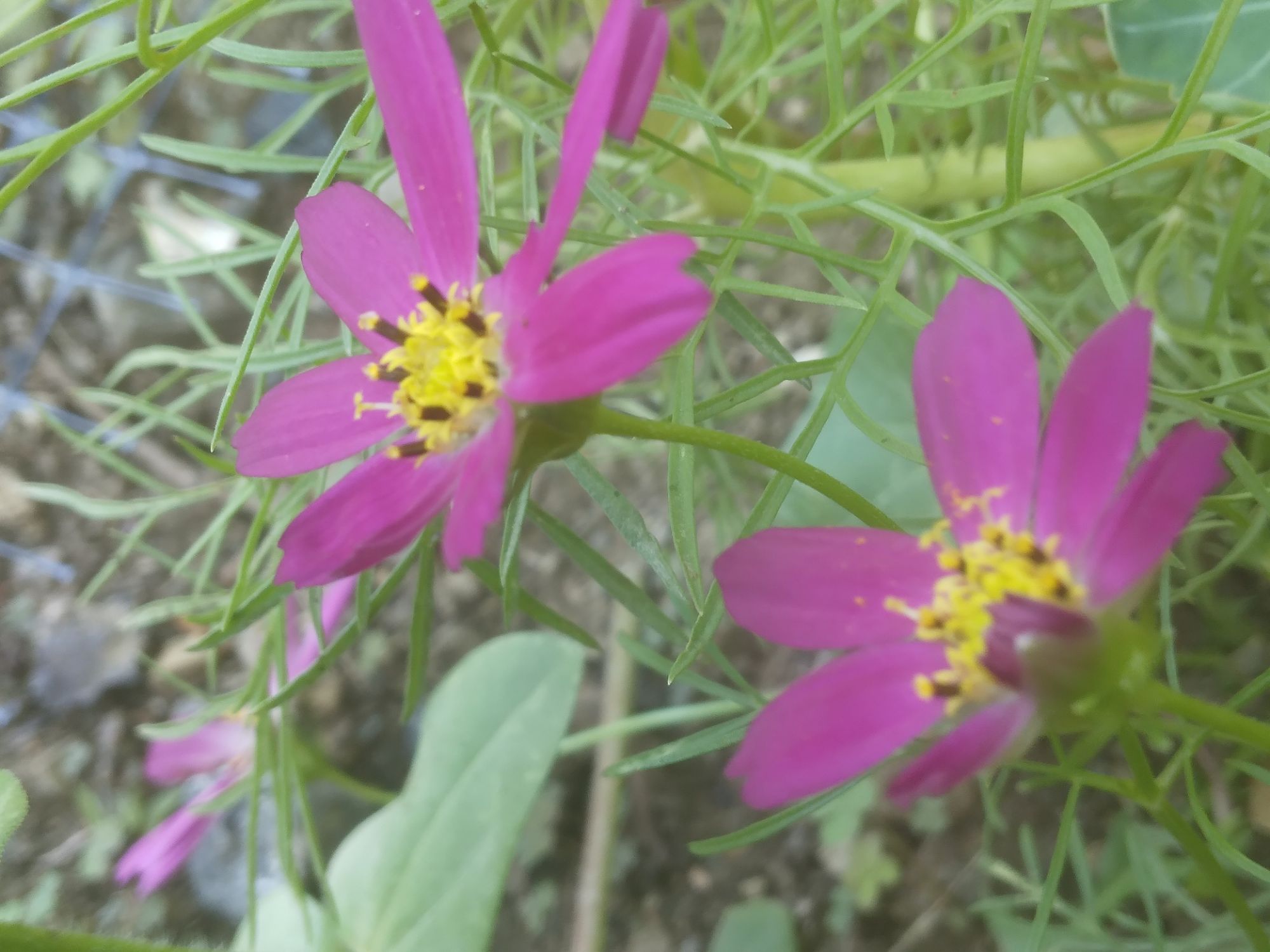 Powerful Self-Love Affirmations ✨🙆‍♀️💜