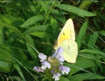 Morning message 🌈✌️✨