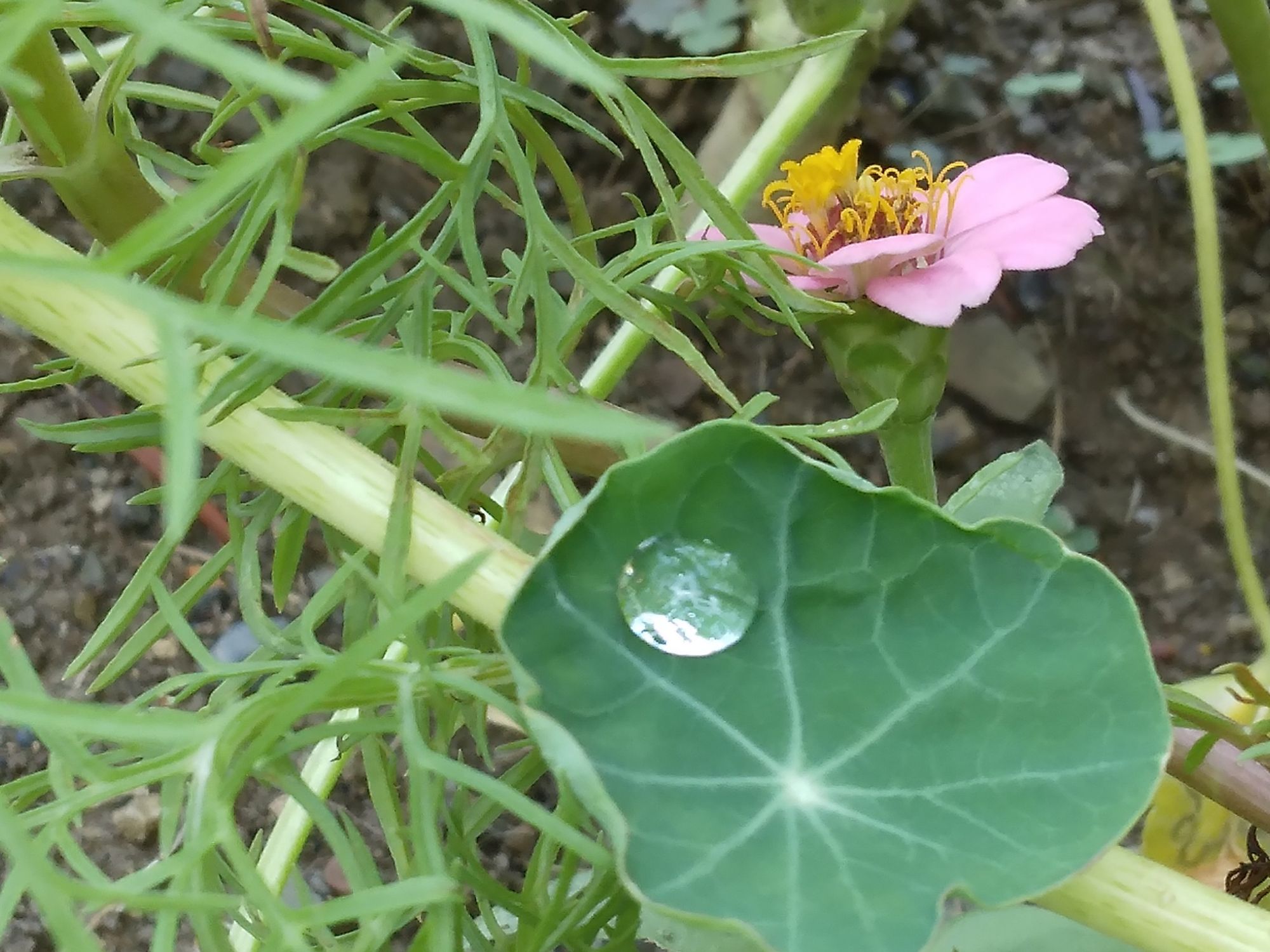 Statements that will inspire inner peace ✨