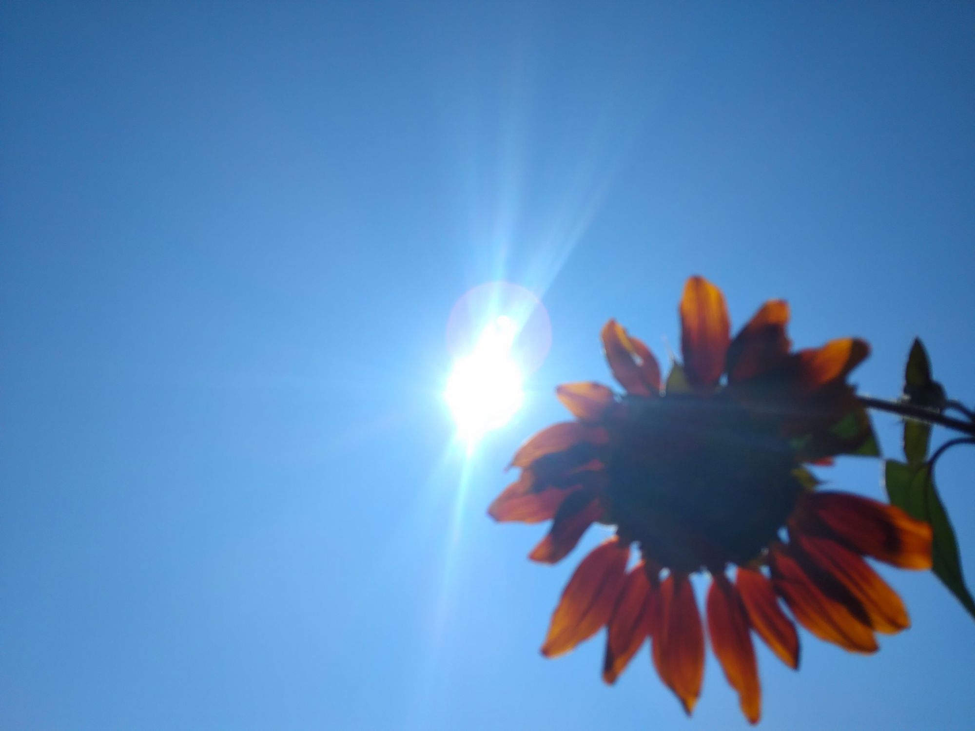 Affirmations to inspire self-confidence 🌞🌻✨️