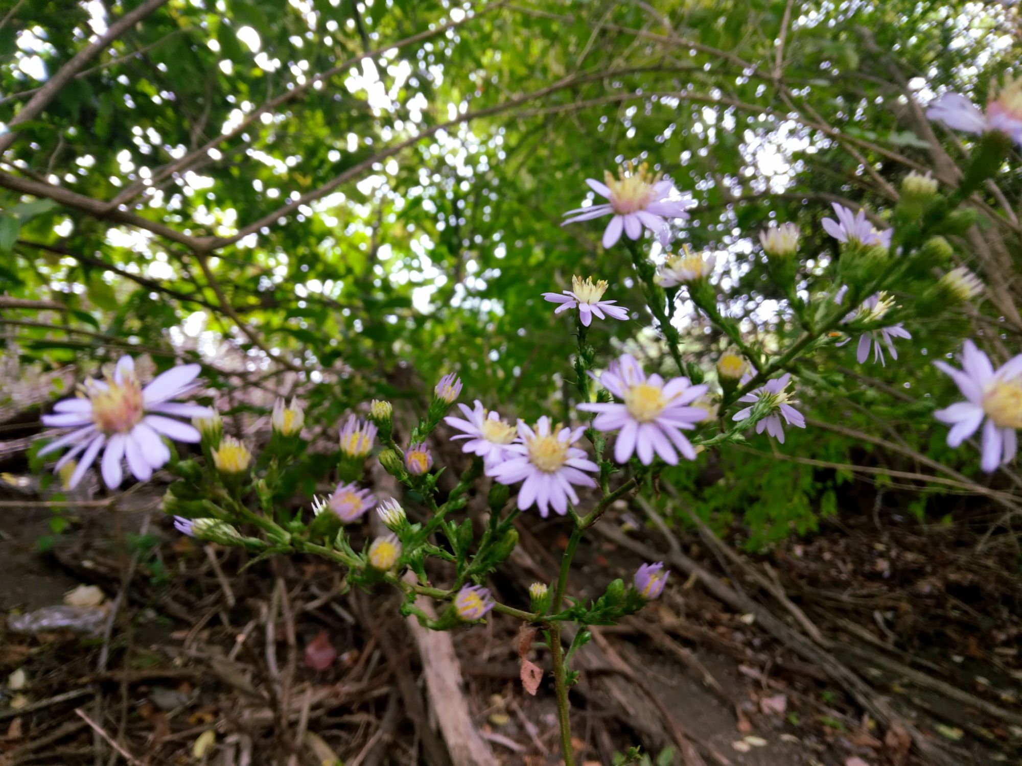 My favorite quotes to inspire self-confidence 🌸🌿🌼