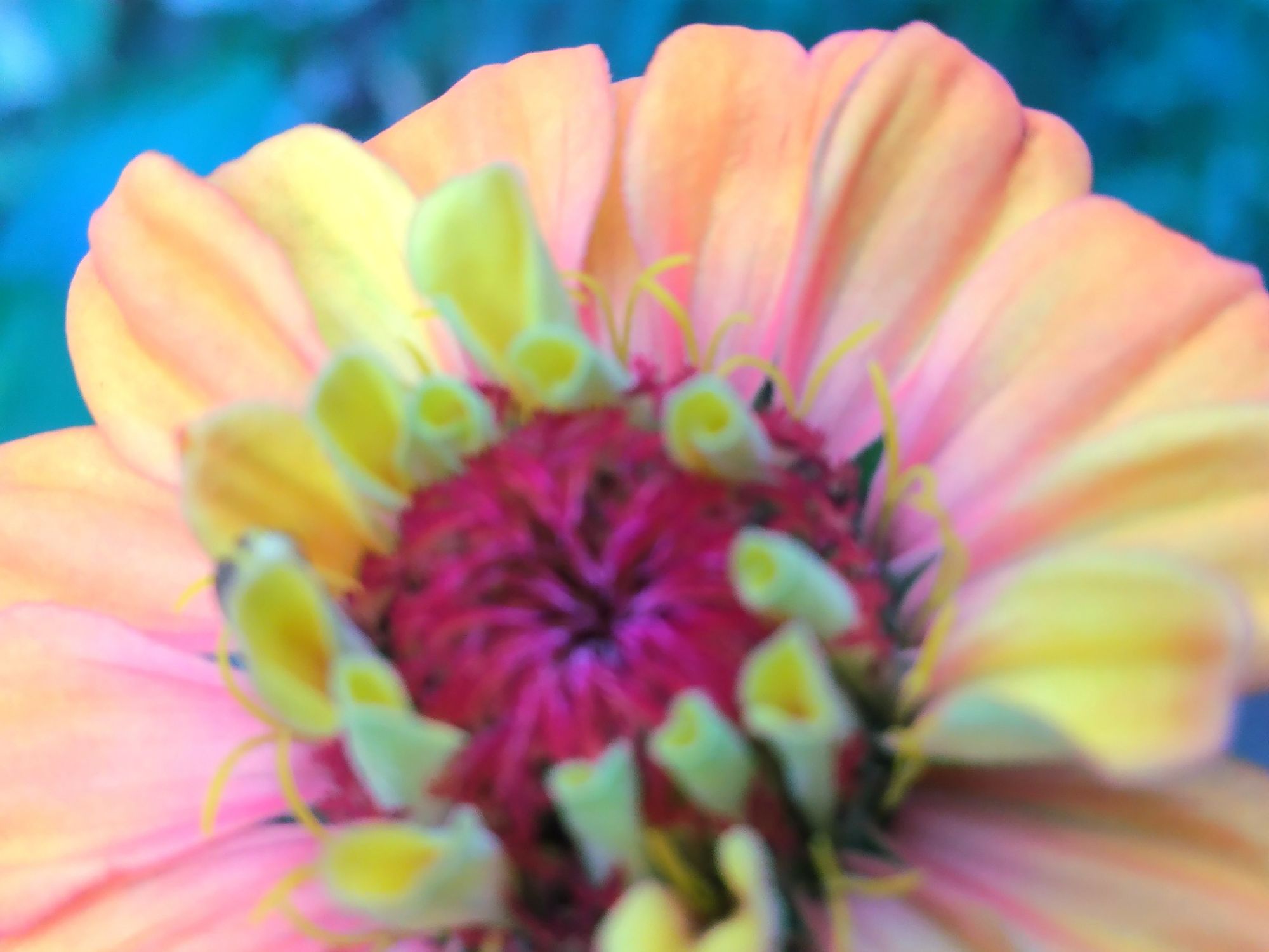 Morning affirmation 🌞🙆‍♀️✨️