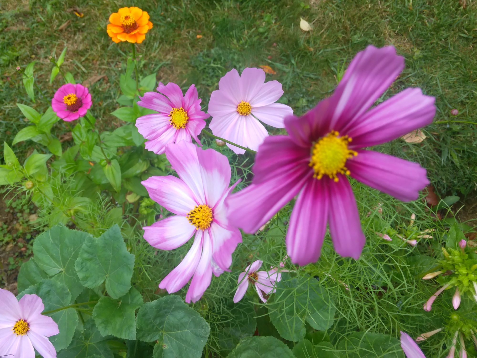 Affirmation of the day πΈπΈ