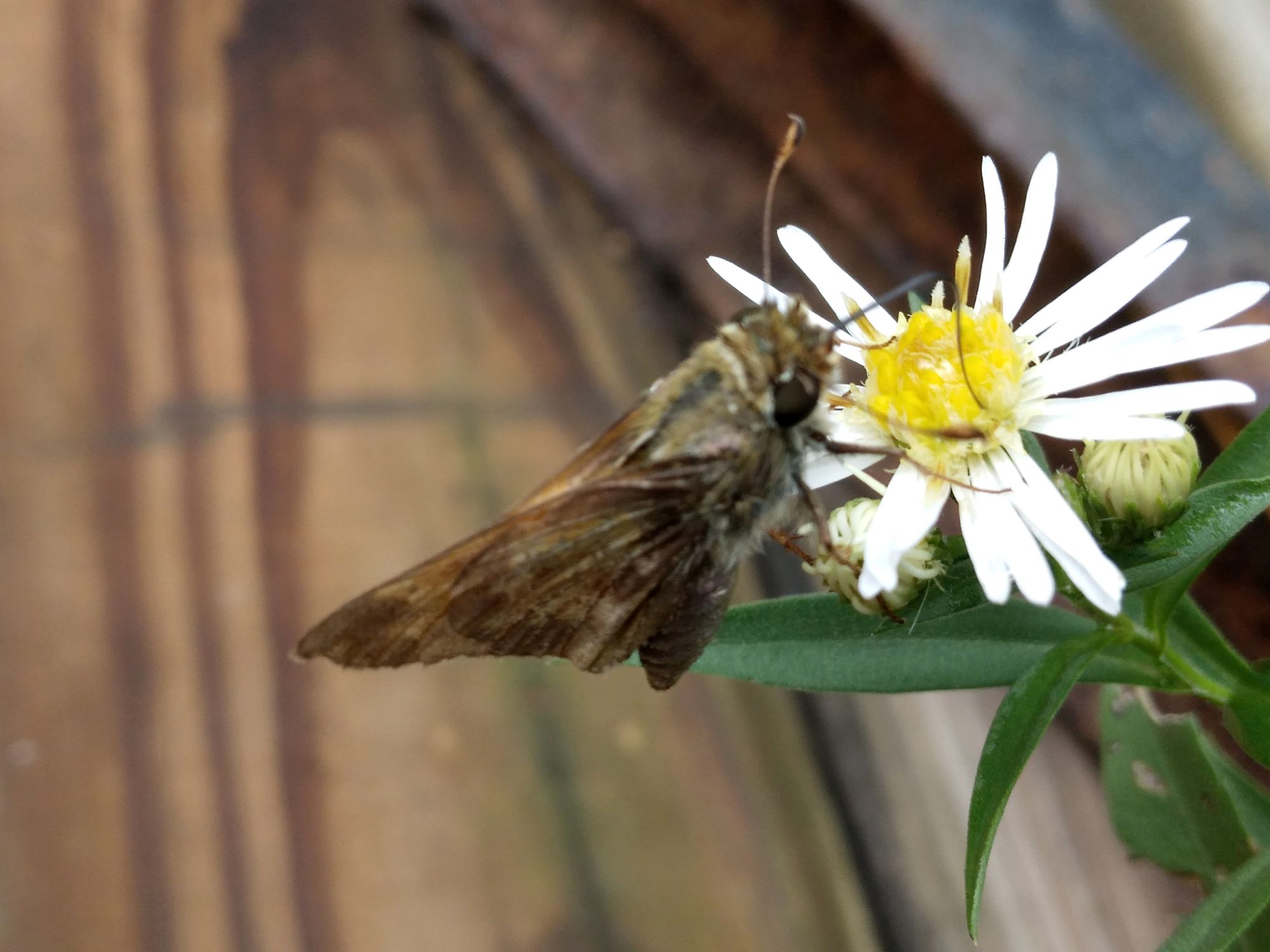 Affirmation of the day 🙆‍♀️🌱✨️🦋