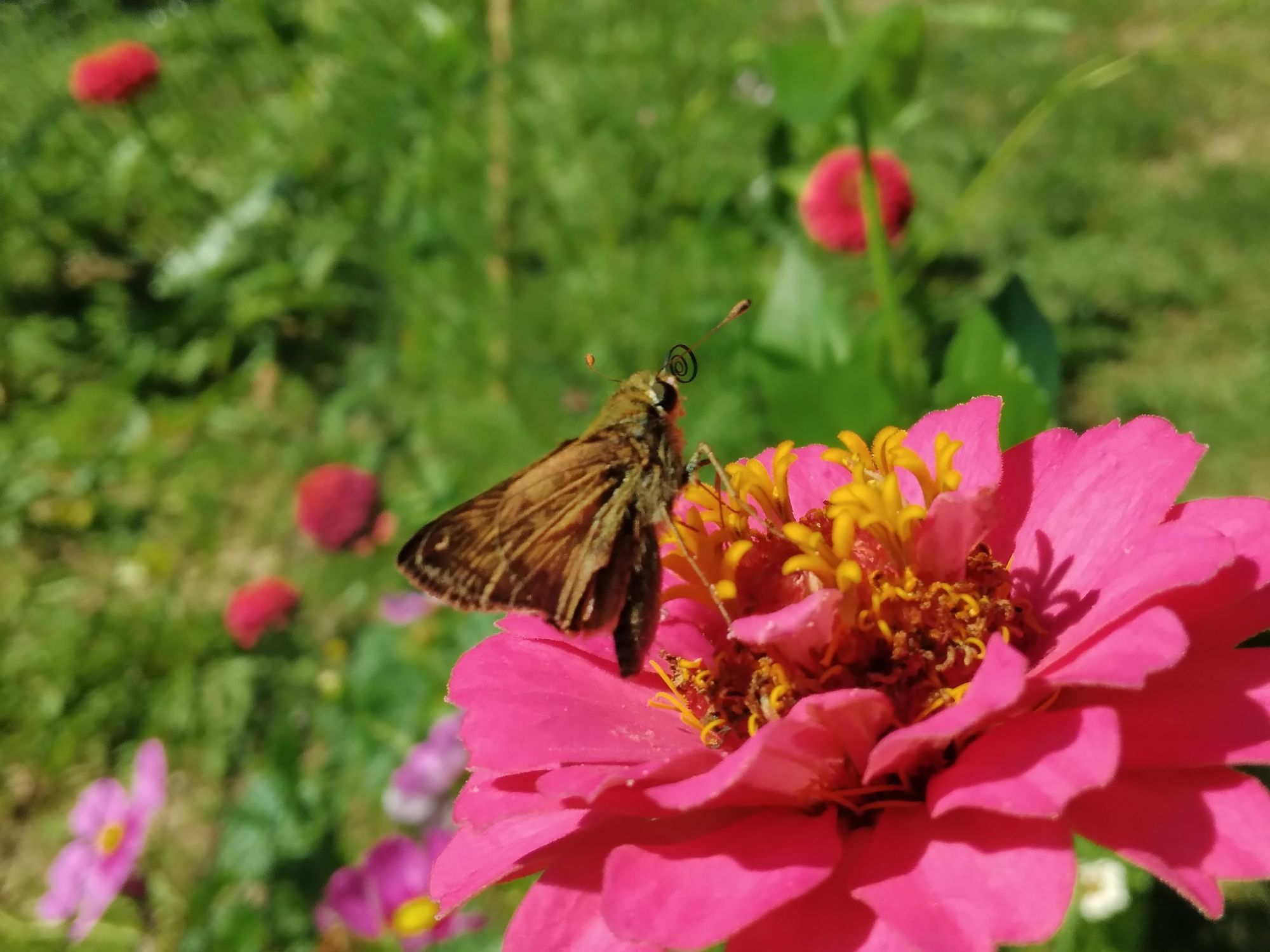 Morning affirmation🙆‍♀️🤗✨️