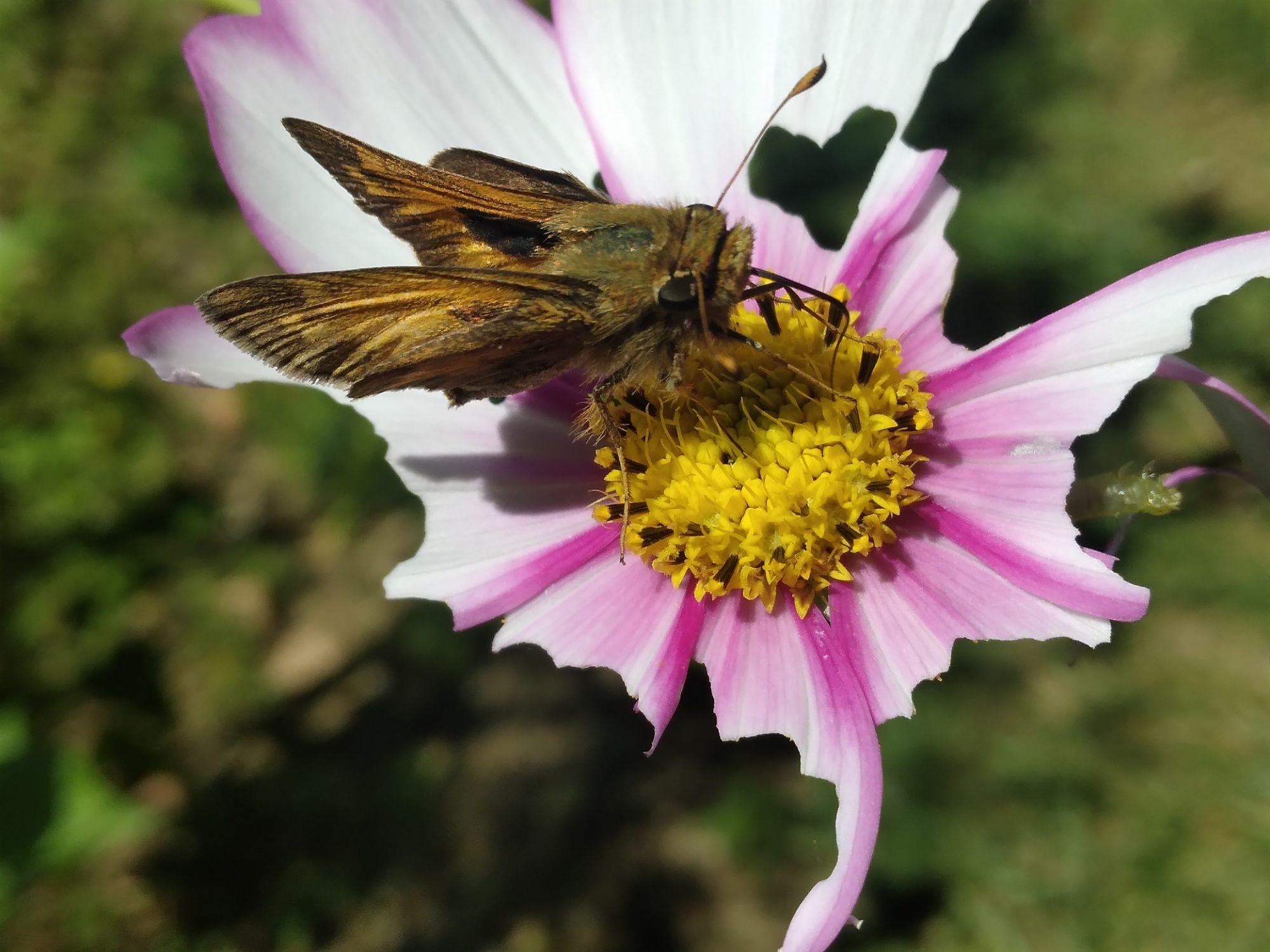 Picture of the day 🌸♡✨