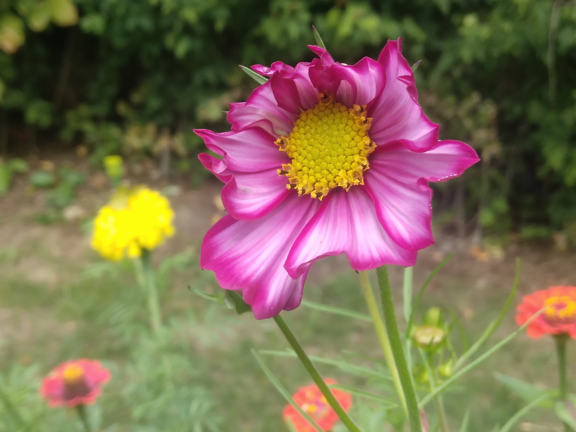 Morning message: start where you are 🤗🤸‍♀️