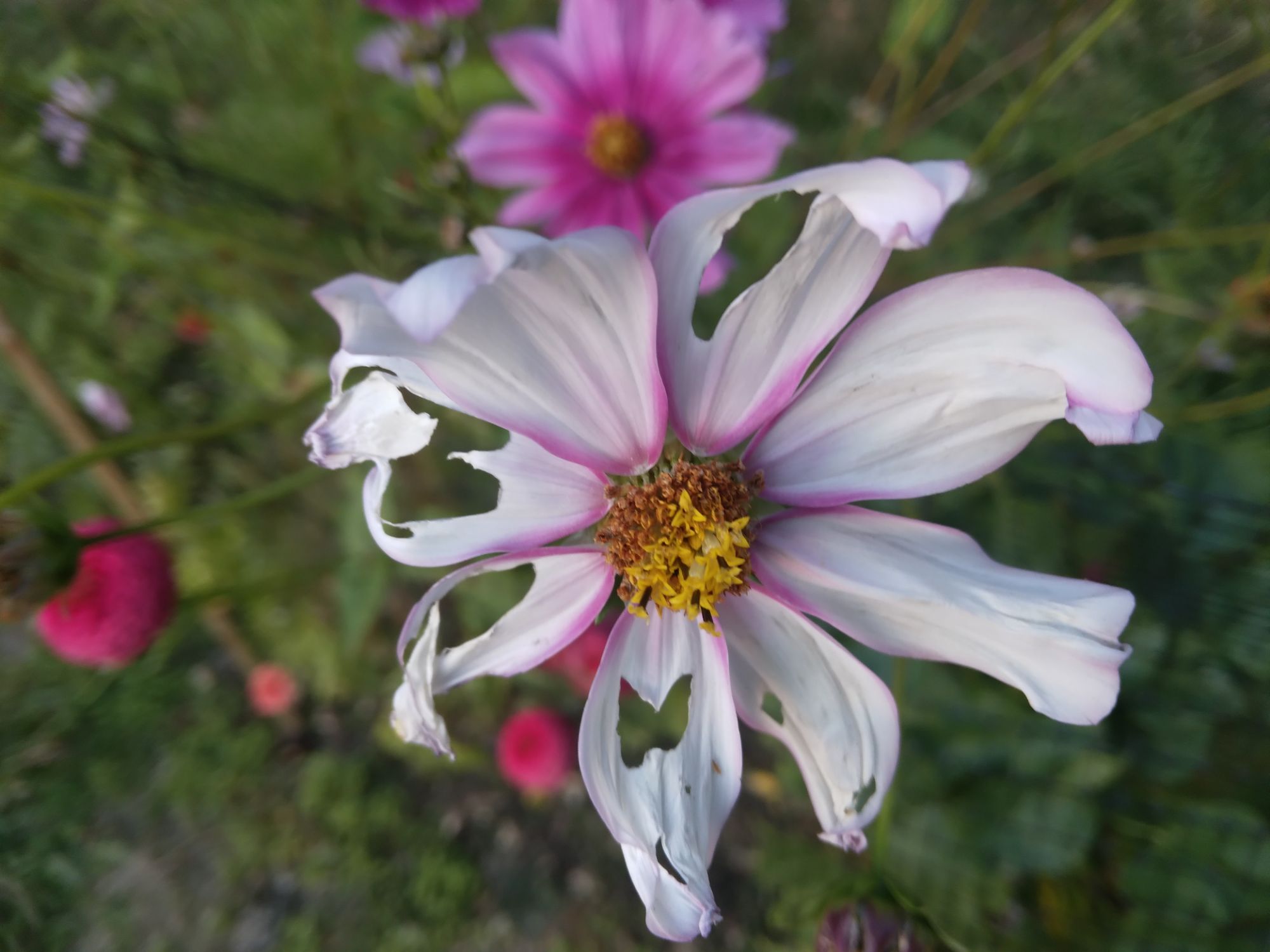 Know who you are: Quotes💜🙆♀️✨