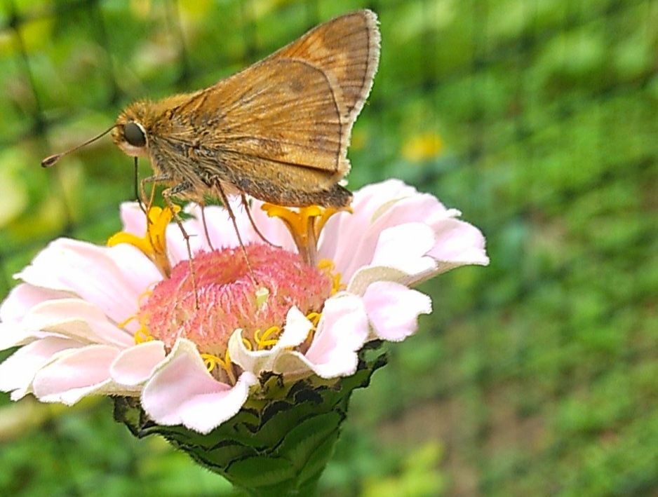 Picture of the day 🌱🌞🍃