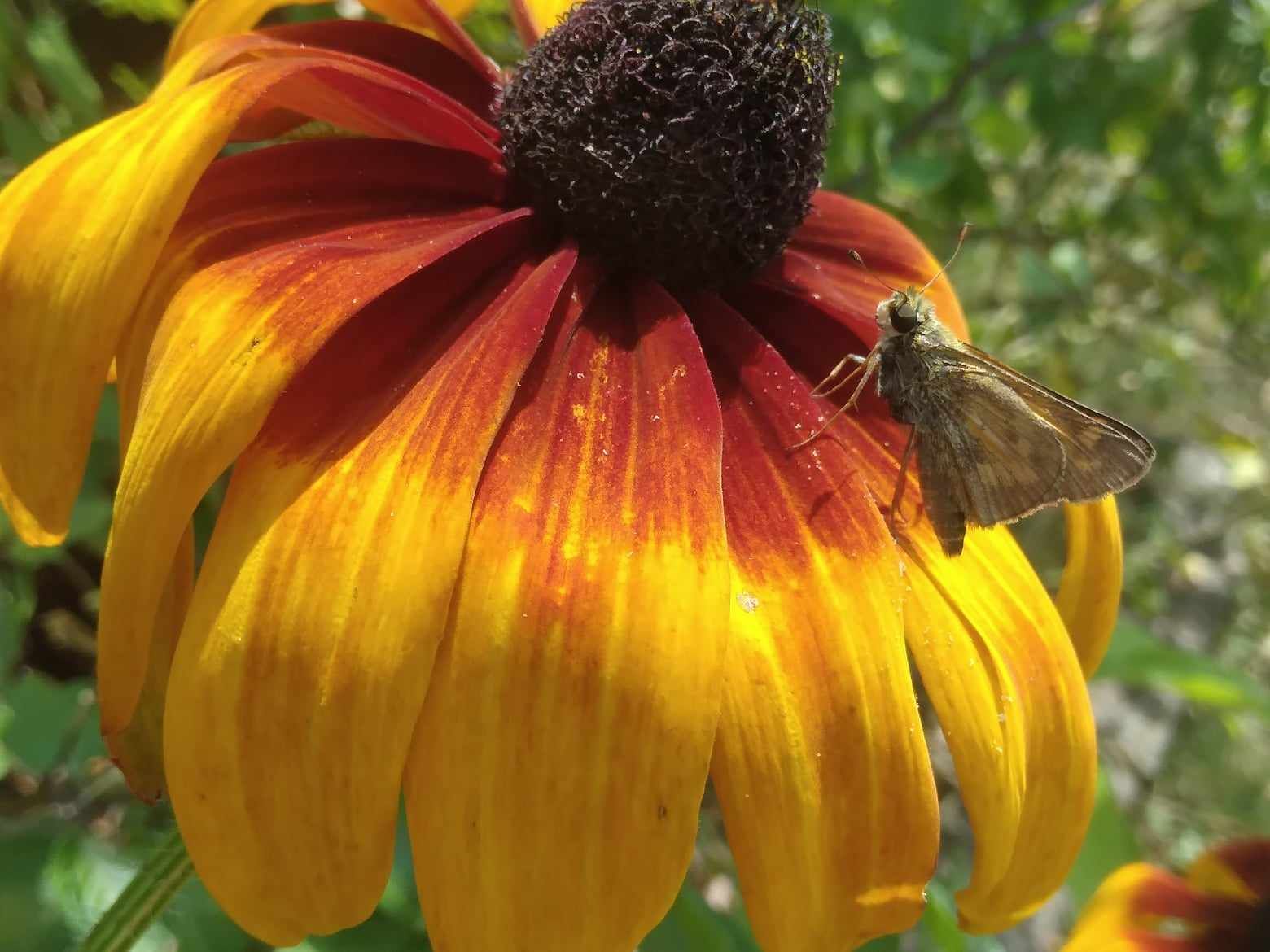 Quote of the day: You are still becoming ✨🌼🌿