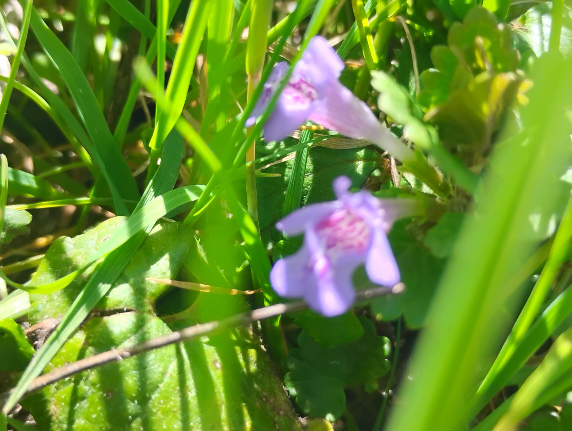 Quote of the day: The little things🌞💐✨☕