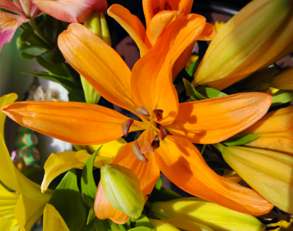 Quote of the day: Big joy and small joy are the same 🙏✨🧡