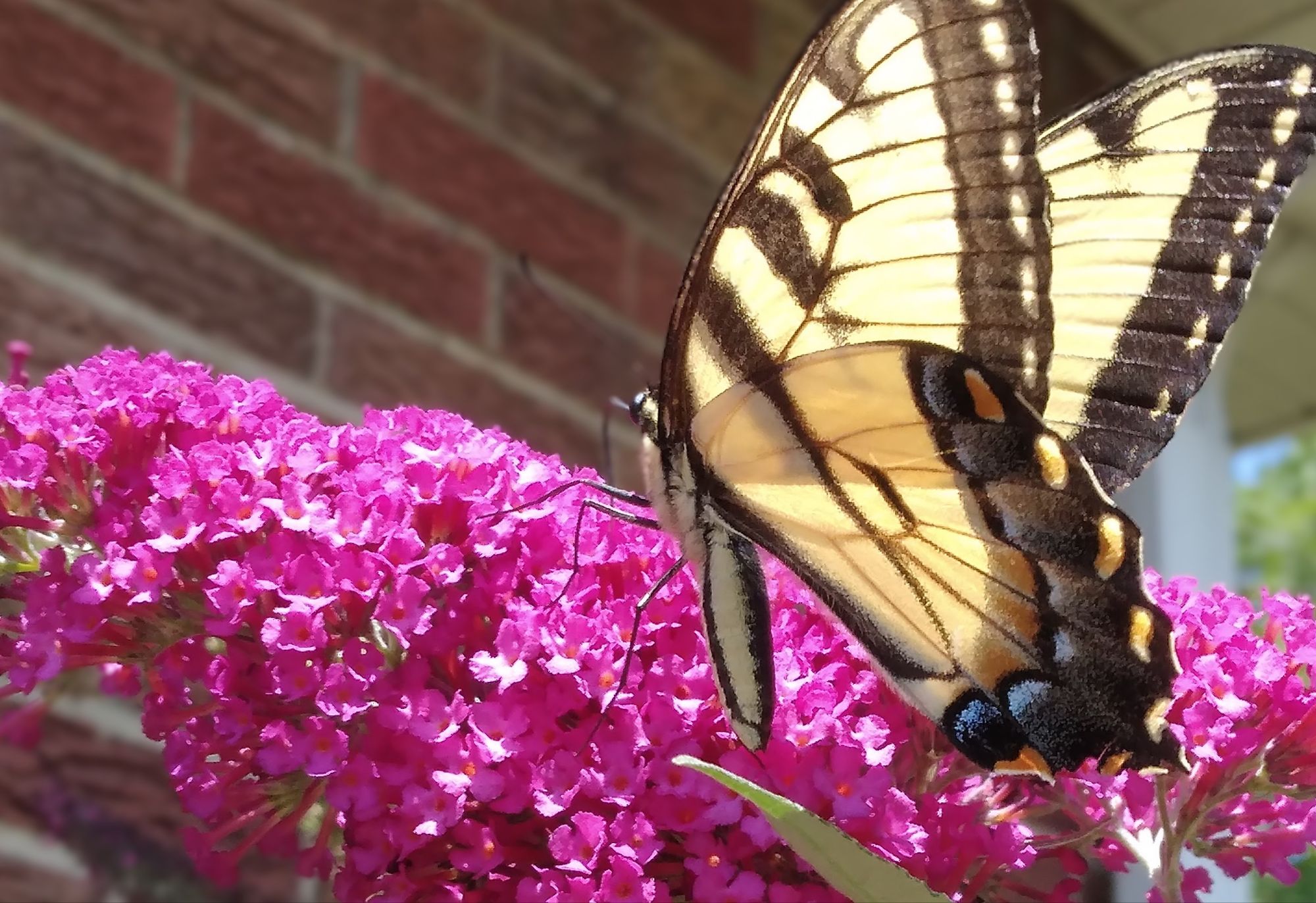 Quote of the day: Beauty cleans the mind ππ¦ β¨ππΌ