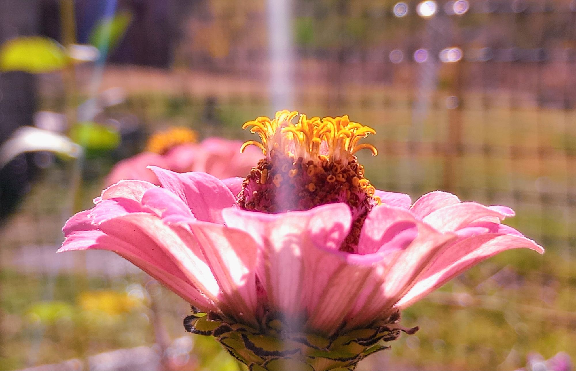 Spotlight on Self-Care 🙆🏼🌸💖✨