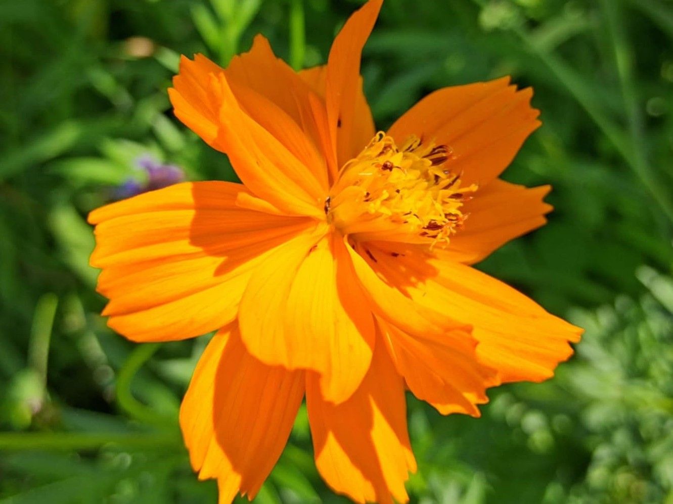 Quote of the day: There is grace for you π΅οΈβ¨ππΌππΌ