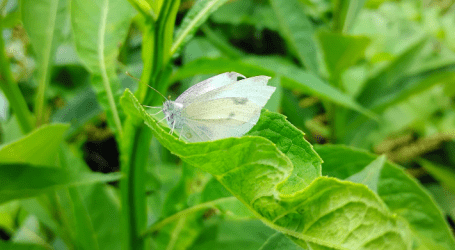 Quote of the day: Beautiful jewels of wisdomβ¨βοΈπ€