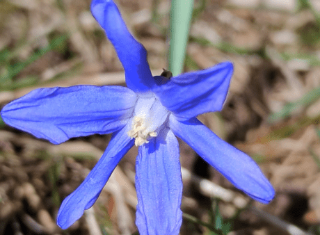 Quote of the day: Experiences are positive β¨πππΌ