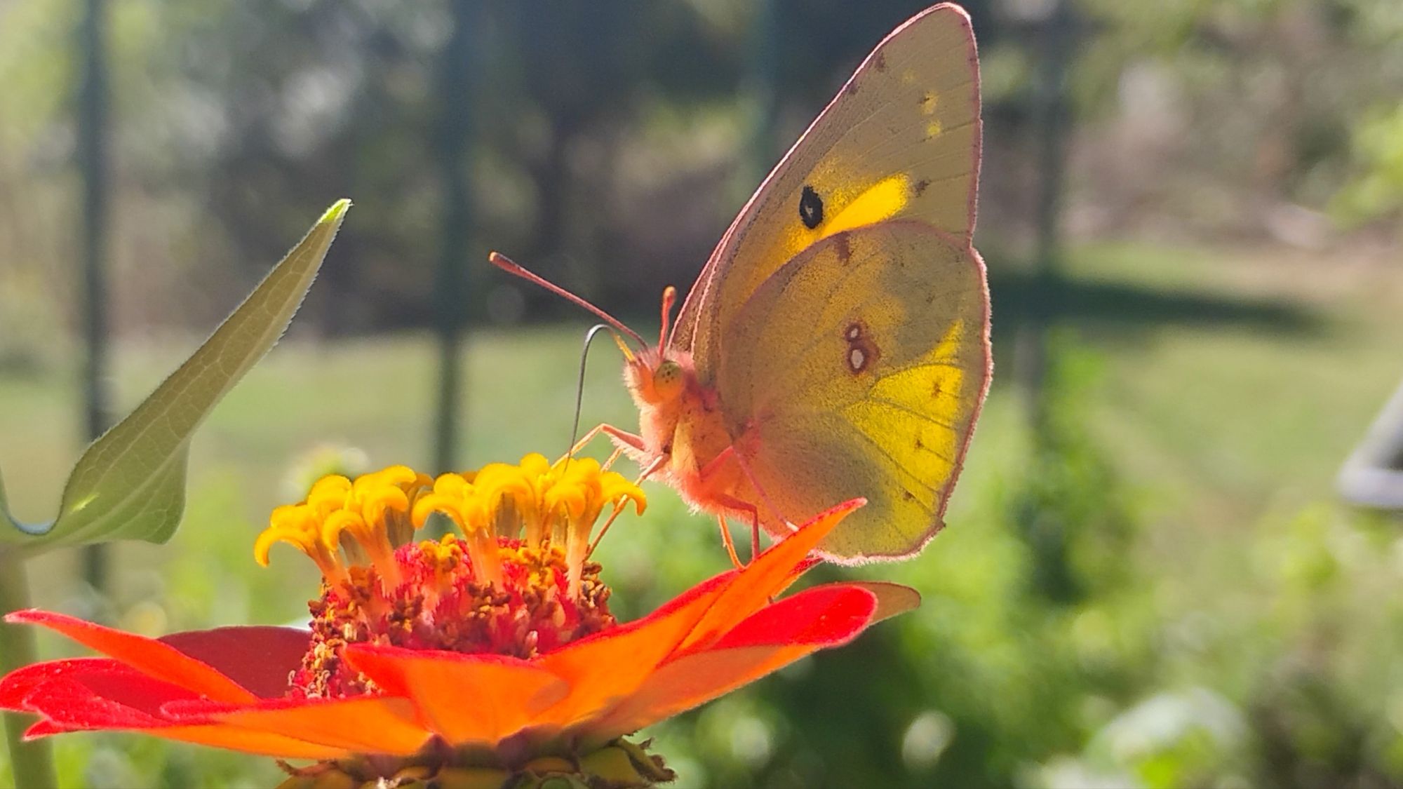 Spotlight on Self-Care ✨🙆🏼🦋🙏🏼