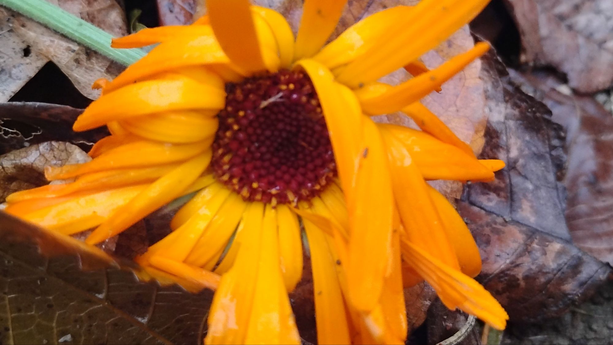 Spotlight on Self-Care 🙏🏼✨🌼