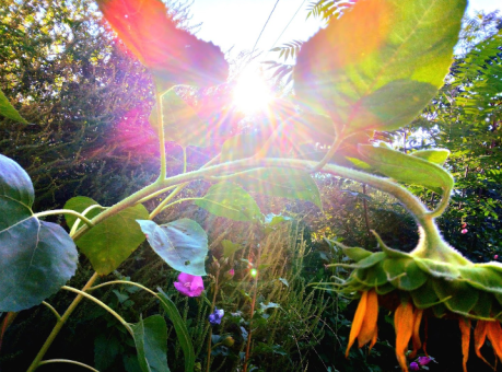 Spotlight on Self-Care 🌻✨🙆🏼🪞