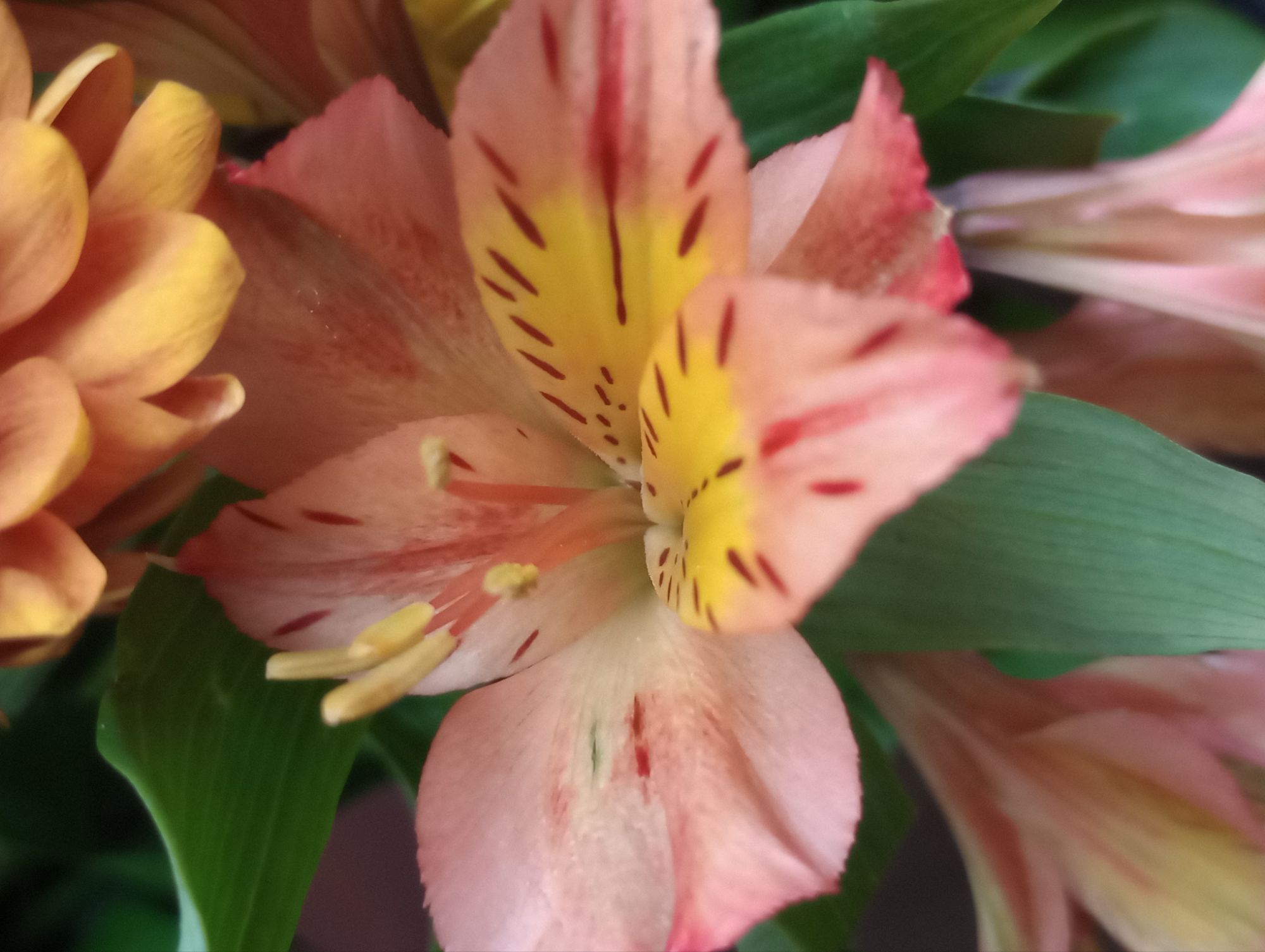 Quote of the day: Gratitude is the secret ingredient 🧡🙏🏼✨