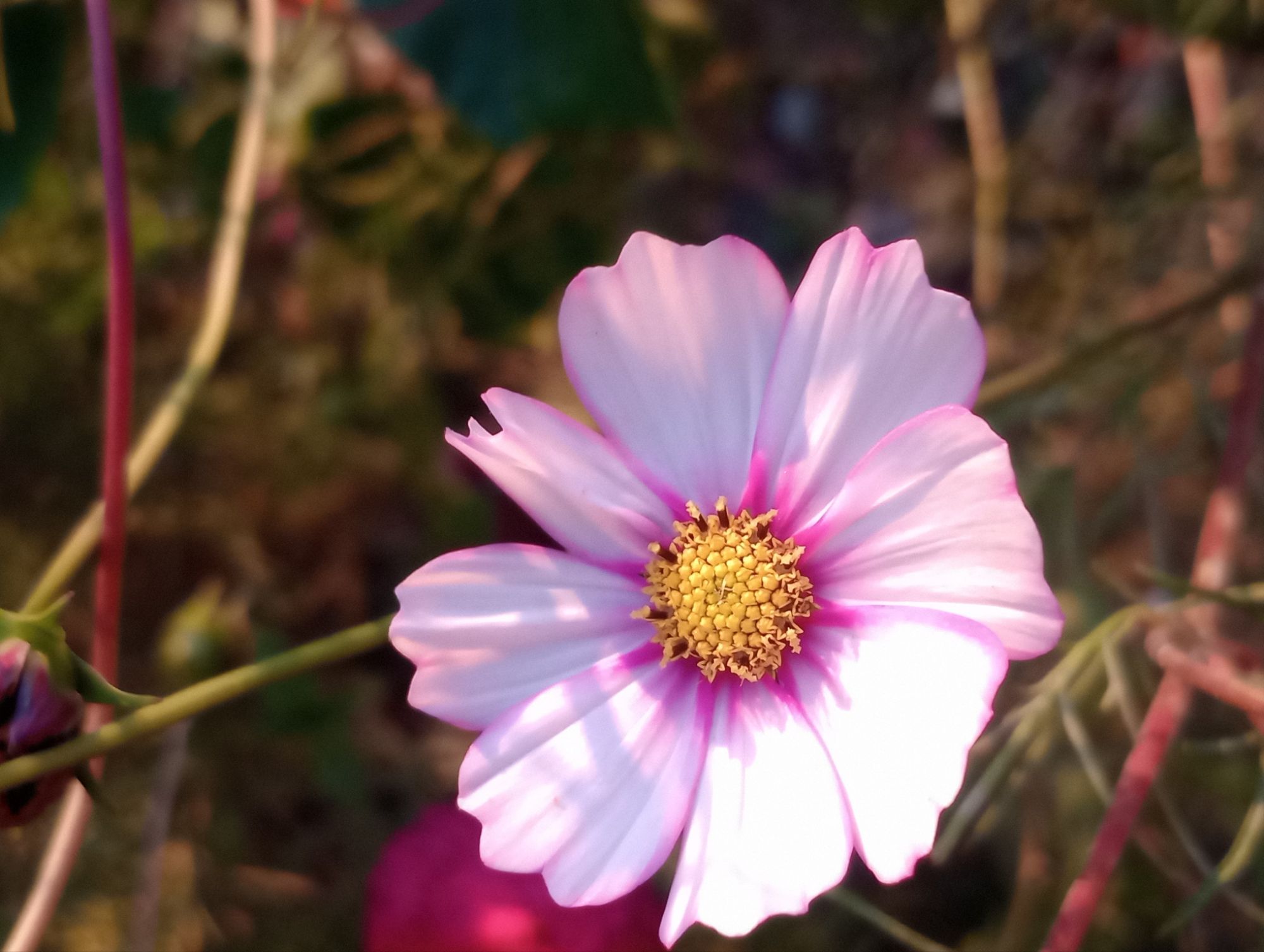 Spotlight on Self-Care 🌸✨🙆🏼