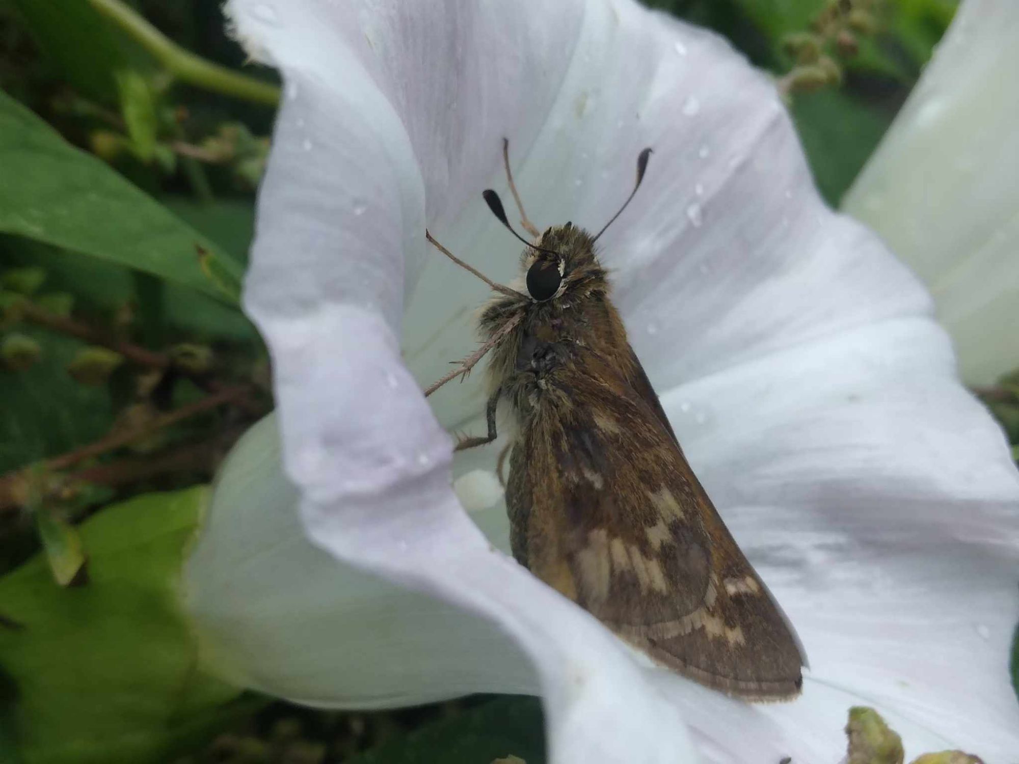 Speak Life Sunday 🤍🗣️🌱✨