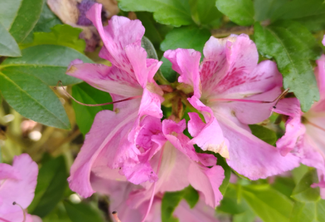 More Love Monday 🫶🏼💞✨💮