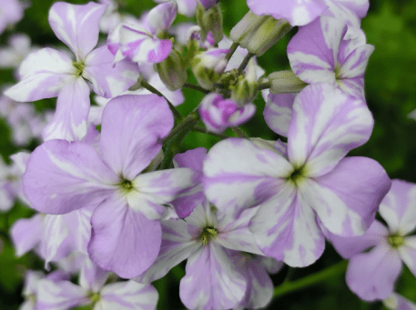 Friday Flow: Delight in the little things 🐦💐✨🙆🏼‍♀️