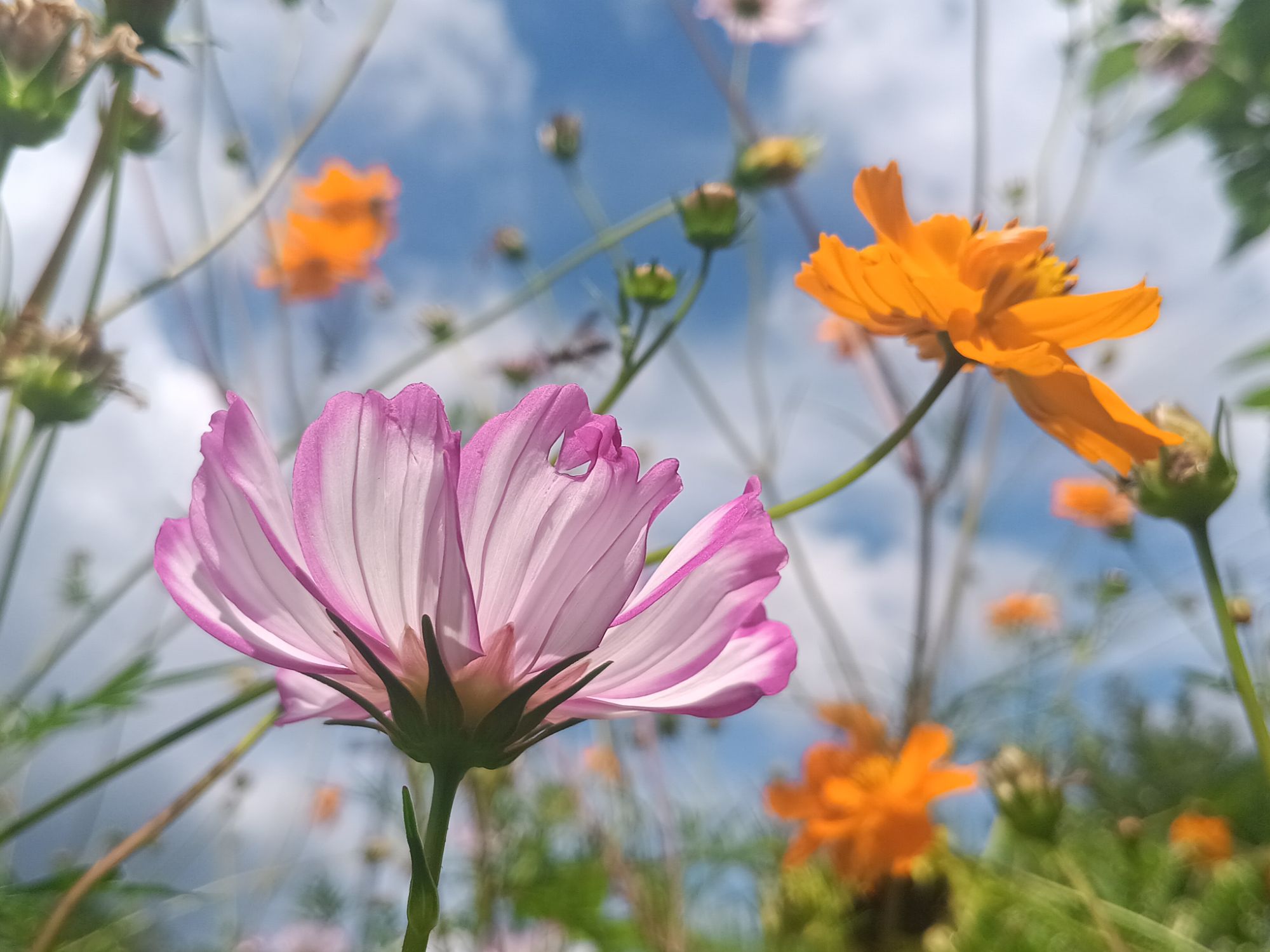 Spotlight on Self-Care 🌼🌸✨️🌞