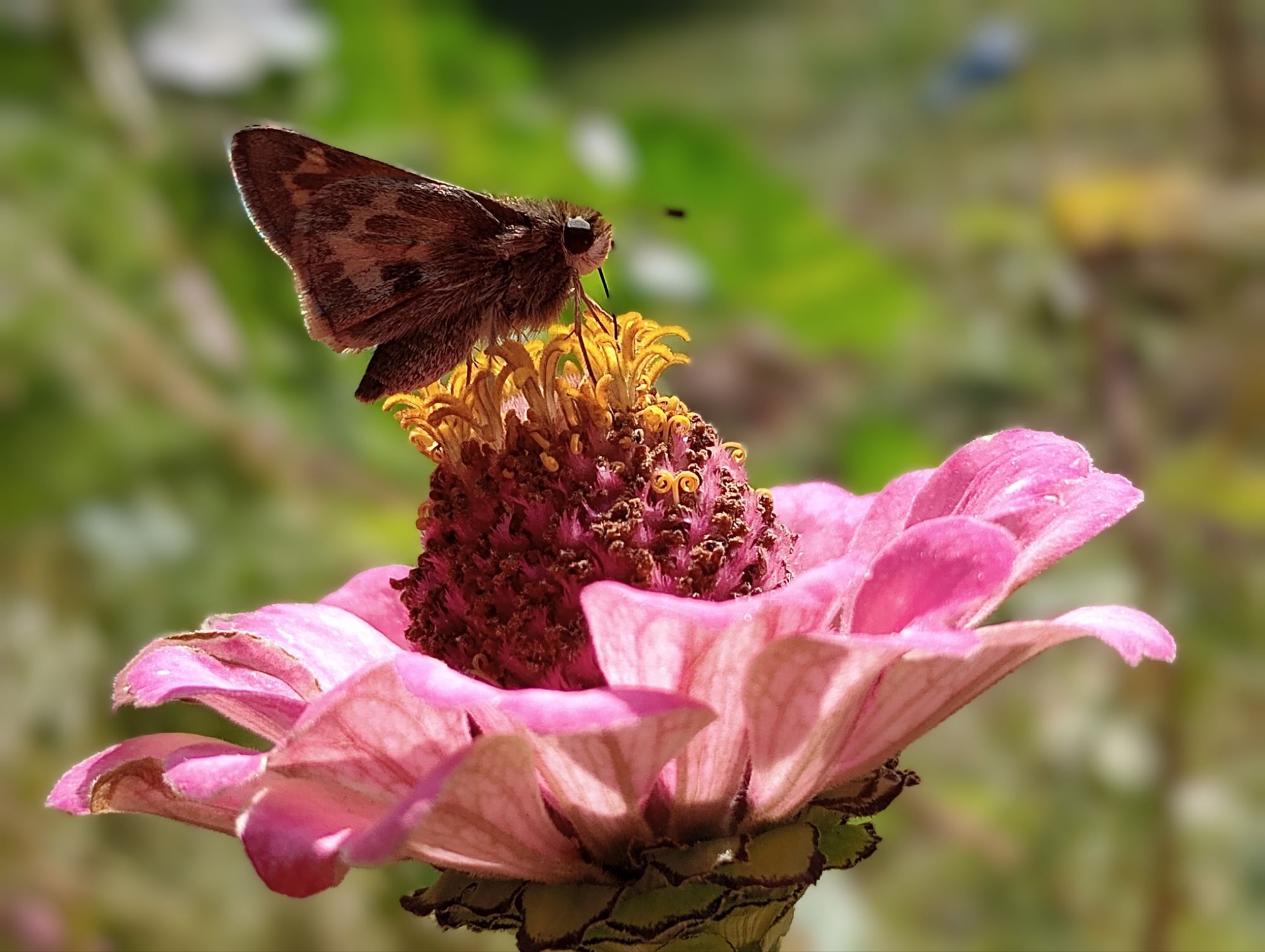 Quote of the day: Heartfelt appreciation for life ✨️🌸💗🫶