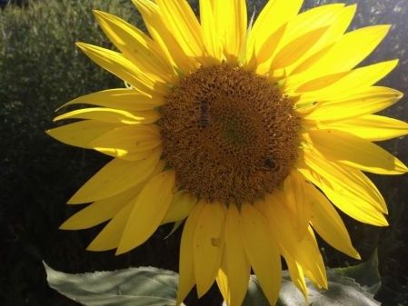 Spotlight on Self-Care 🌞✨️🌻👩‍🎨